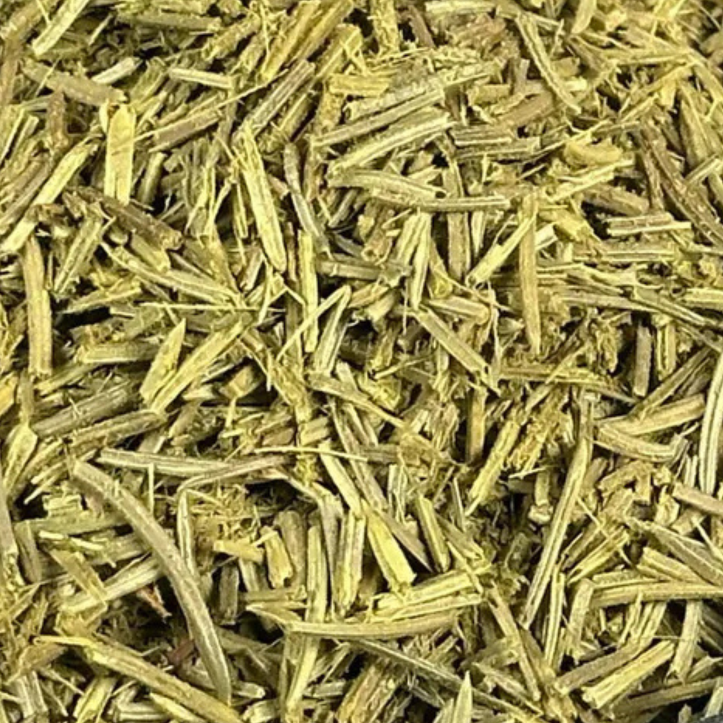 Fournisseur Aiguilles de Pin pas cher | Esotericae.com, grossiste ésotérique