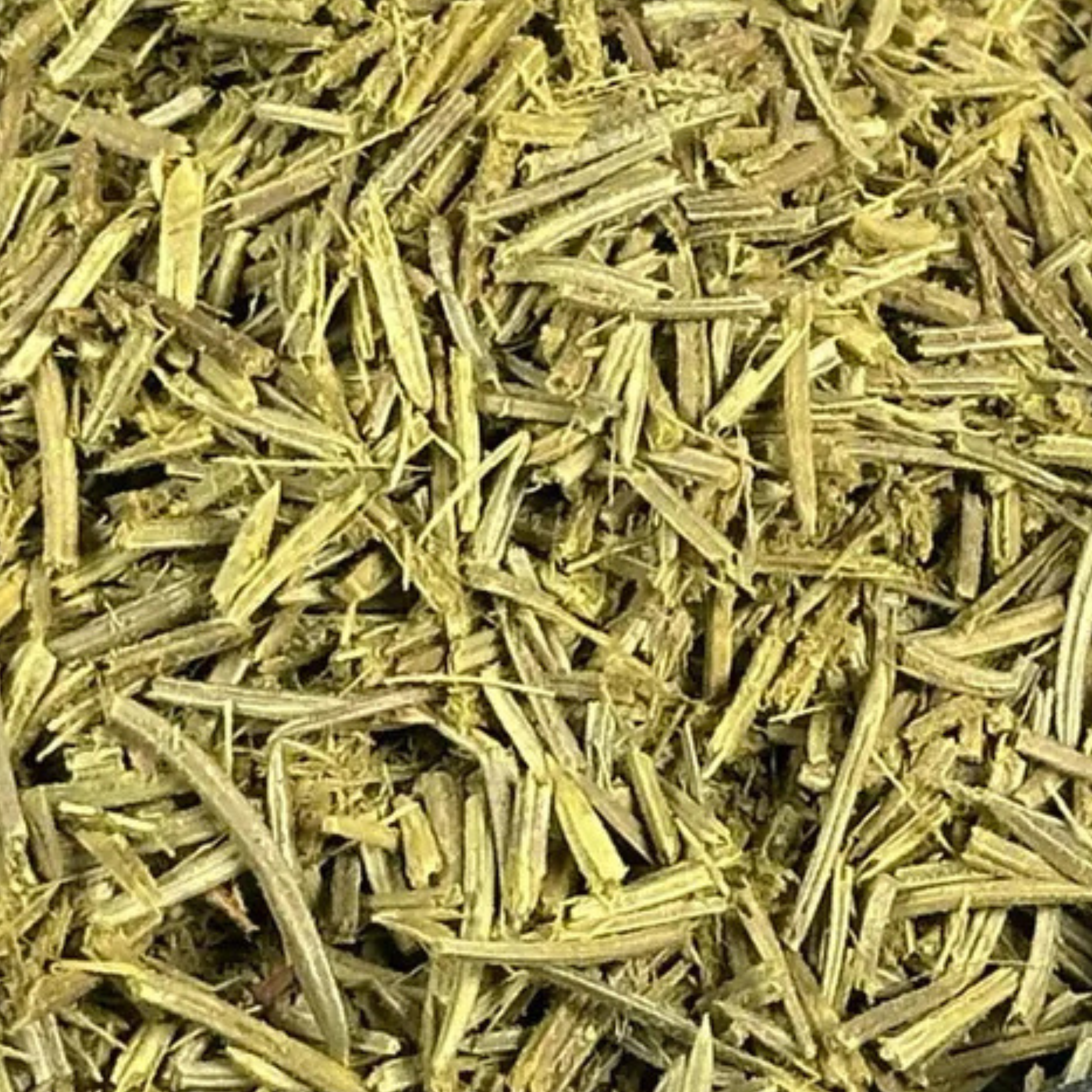 Fournisseur Aiguilles de Pin pas cher | Esotericae.com, grossiste ésotérique