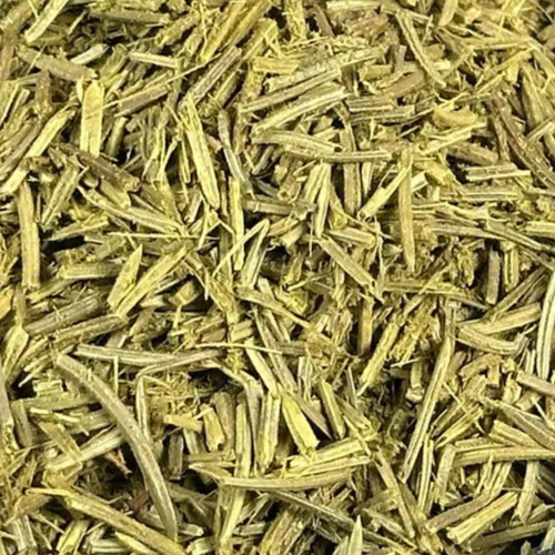 Fournisseur Aiguilles de Pin pas cher | Esotericae.com, grossiste ésotérique