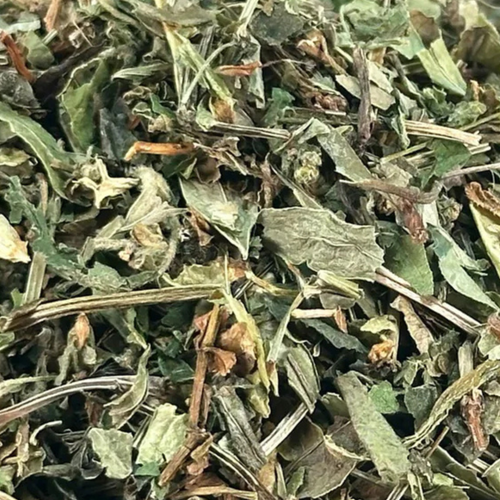 Fournisseur Aspérule prix bas | Esotericae.com, grossiste ésotérique