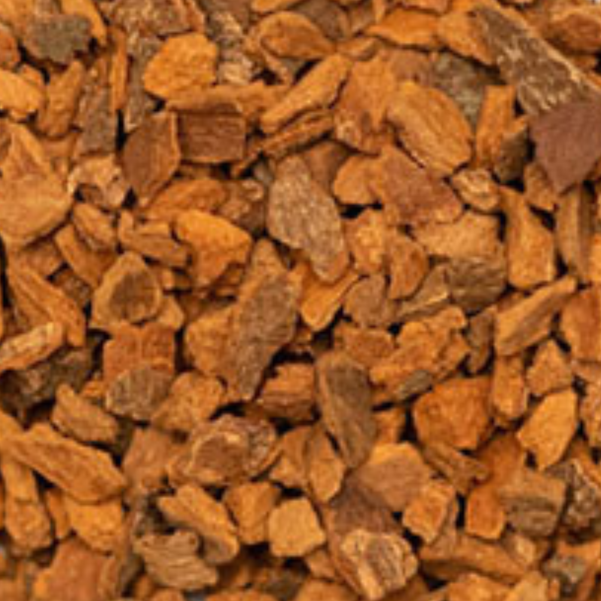Fournisseur Cannelle (en morceaux) prix bas | Esotericae.com, grossiste ésotérique