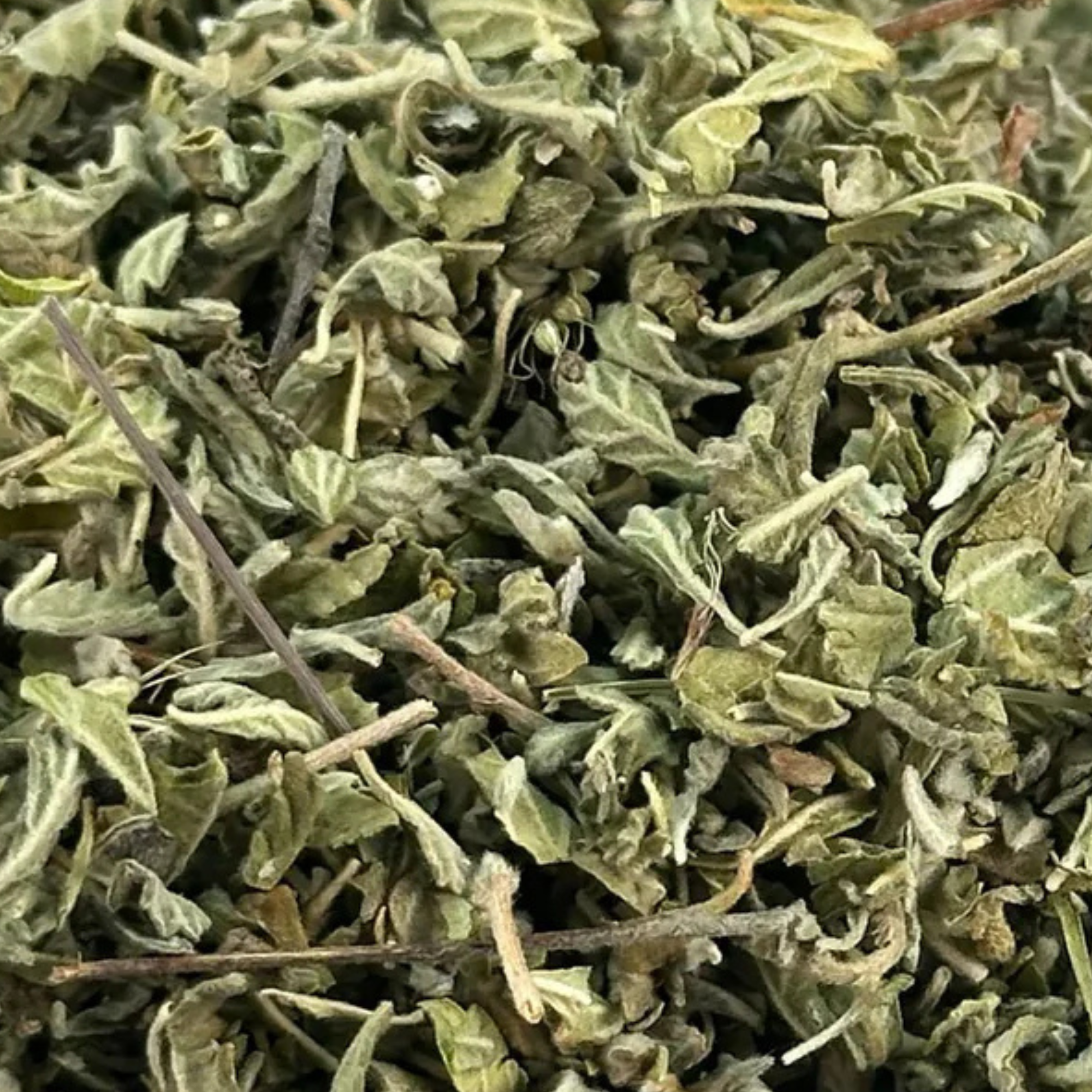 Fournisseur Damiana prix bas | Esotericae.com, grossiste ésotérique