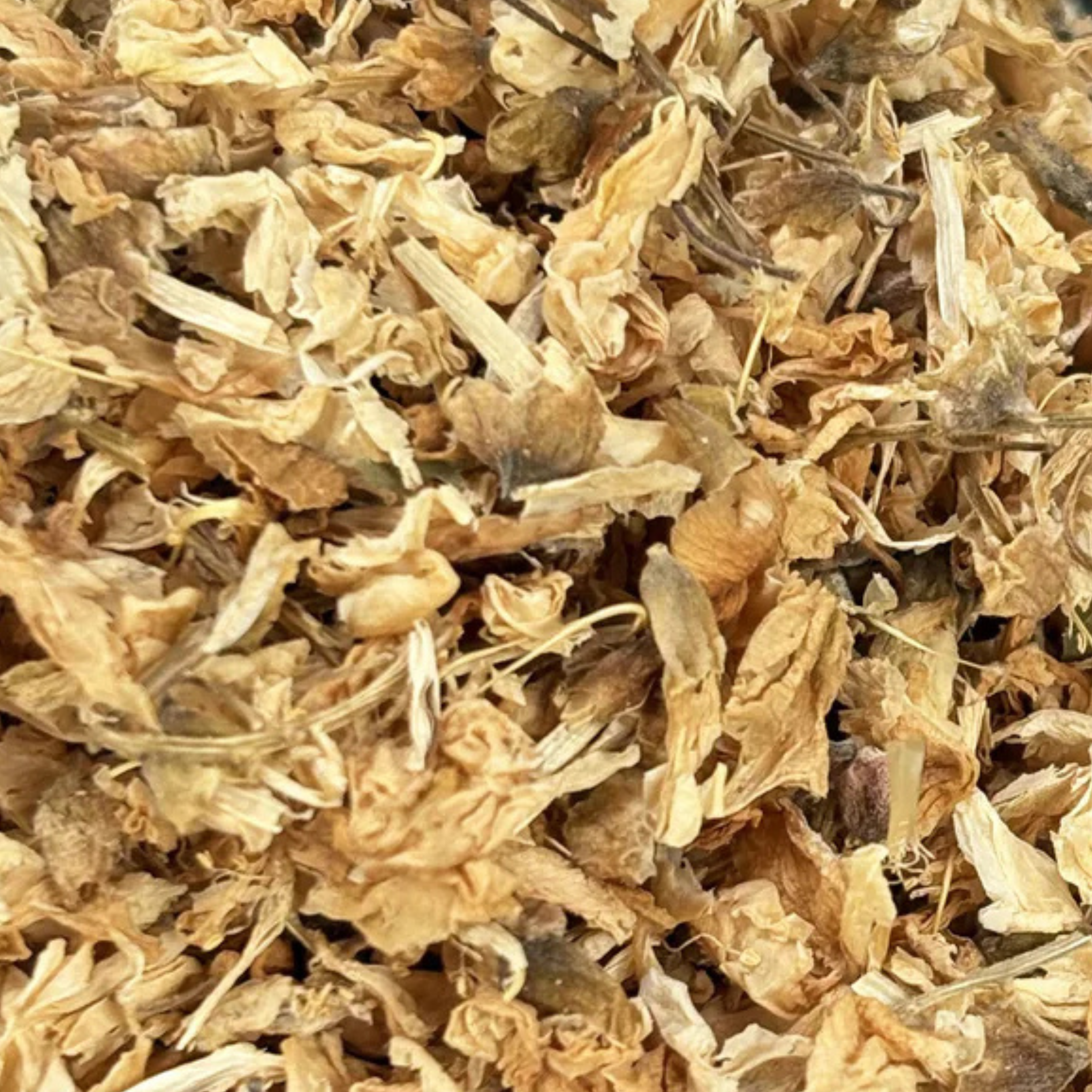 Fournisseur Fleurs Acacia prix bas | Esotericae.com, grossiste ésotérique