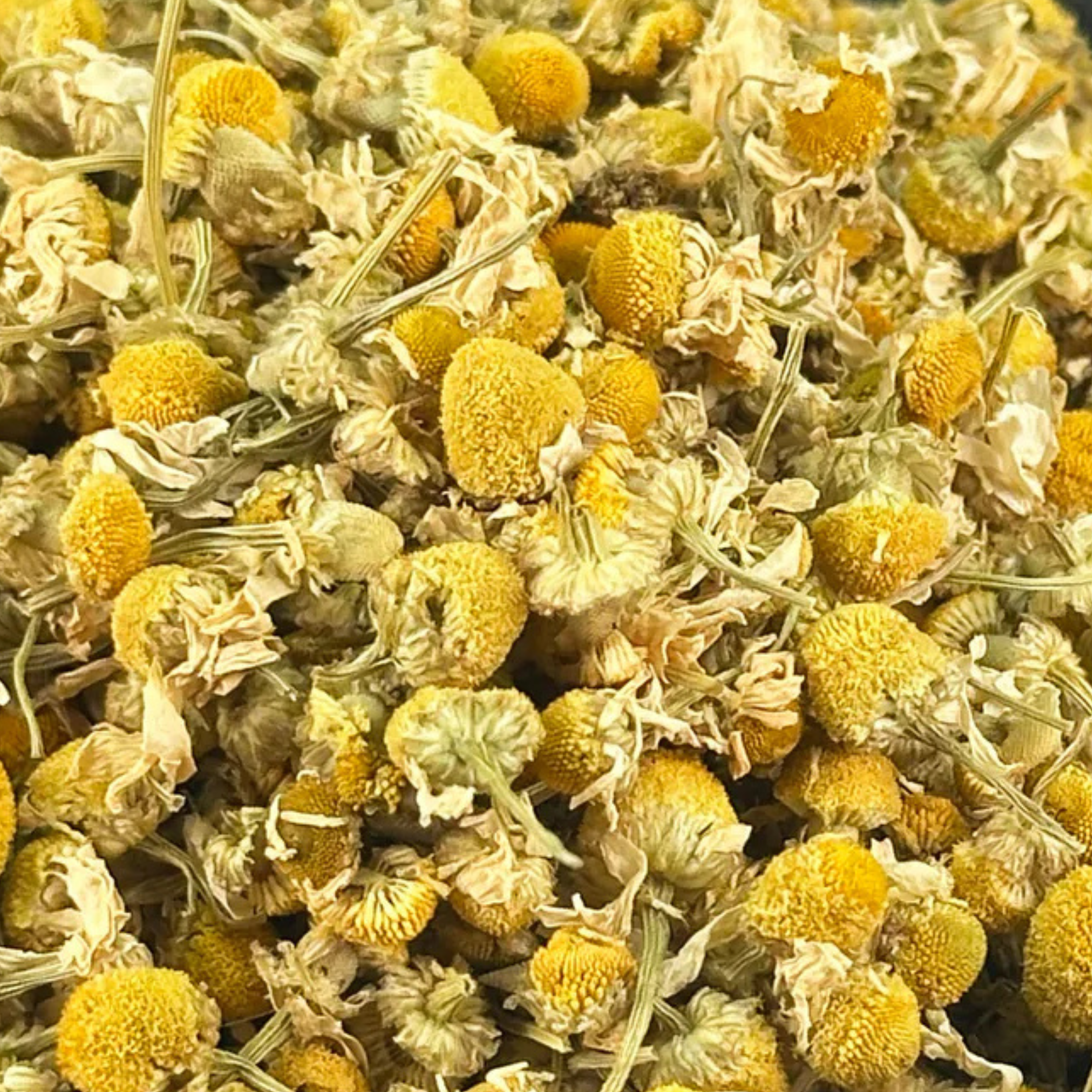 Fournisseur Fleurs Camomille prix bas | Esotericae.com, grossiste ésotérique