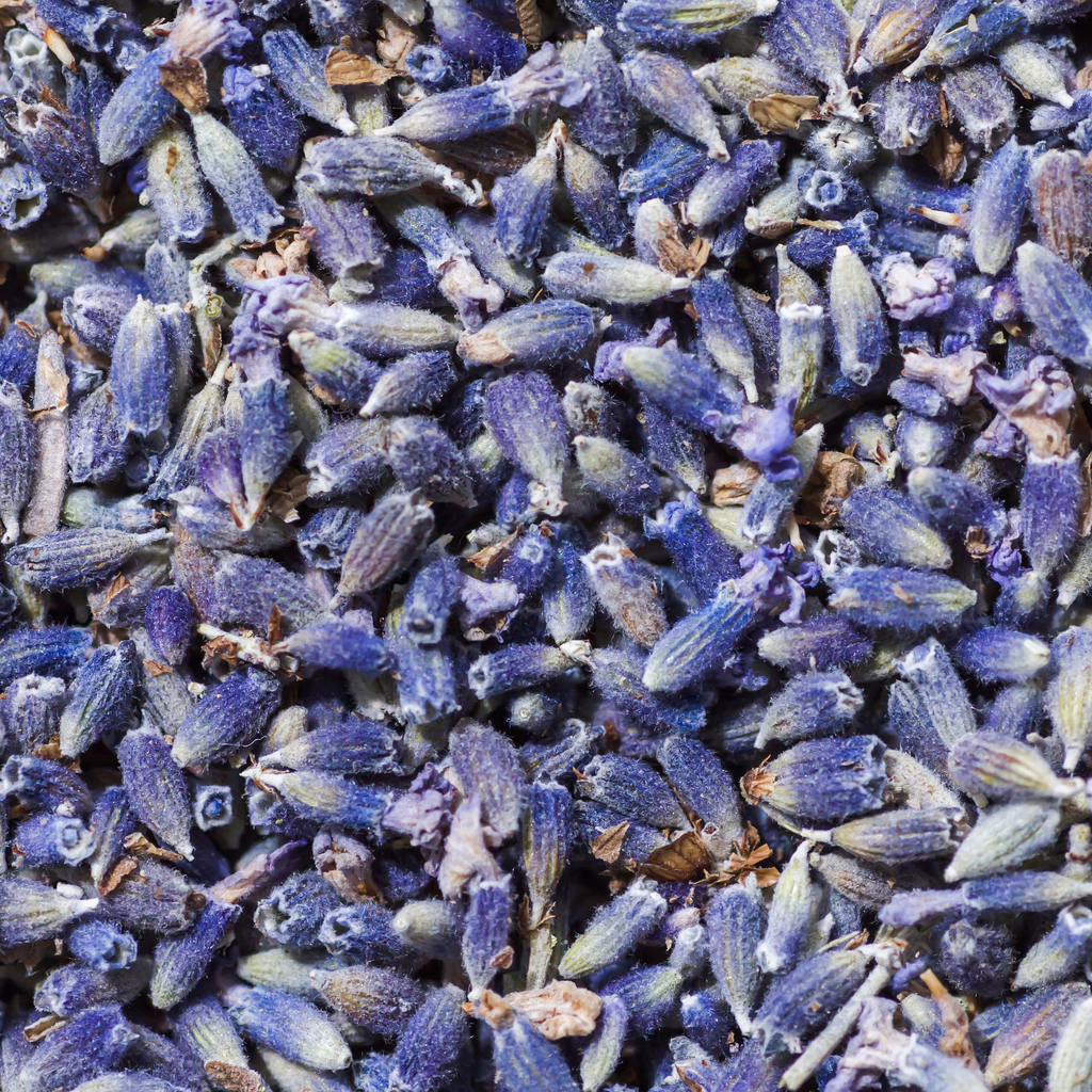 Fournisseur Fleurs Lavande prix bas | Esotericae.com, grossiste ésotérique