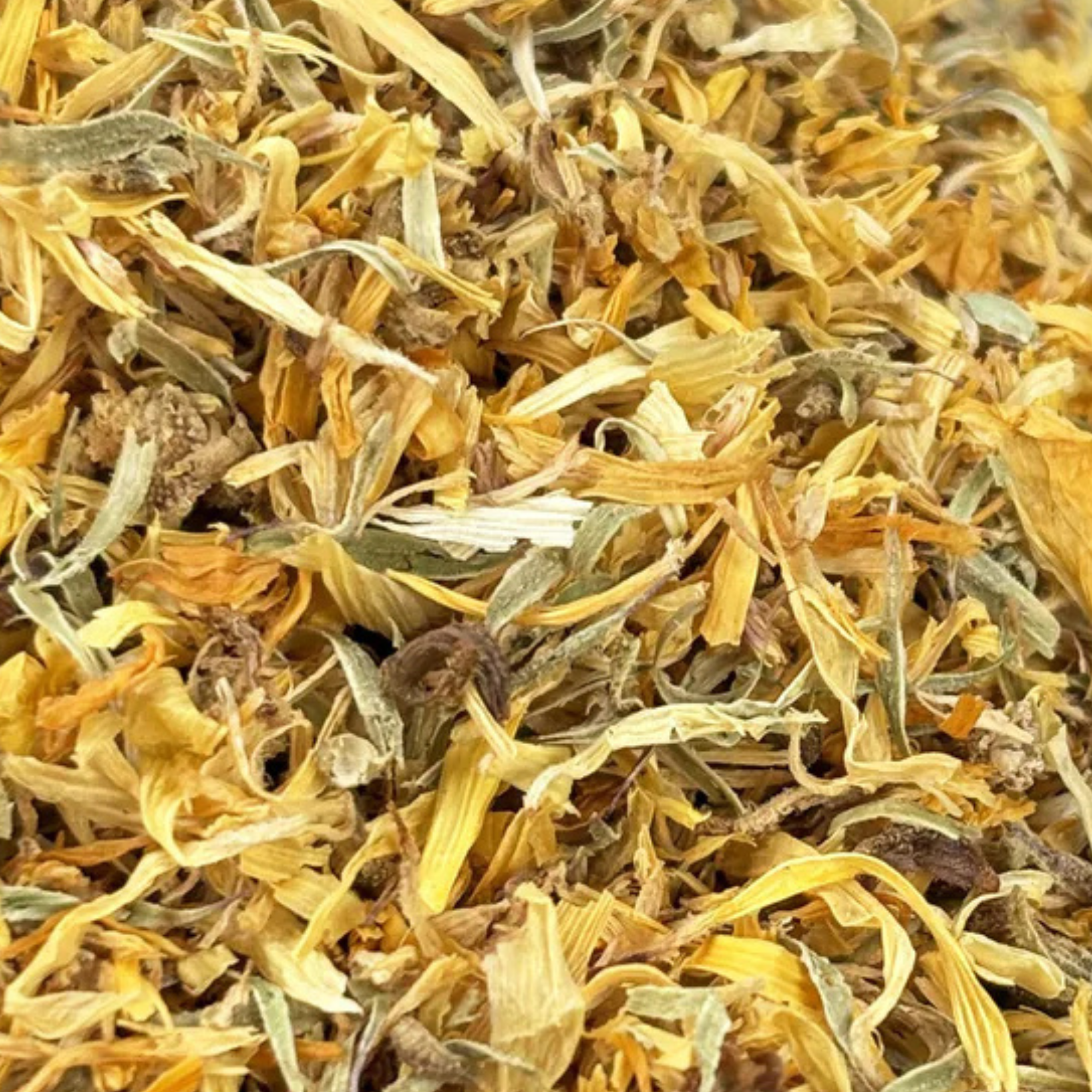 Fournisseur Fleurs Souci prix bas | Esotericae.com, grossiste ésotérique