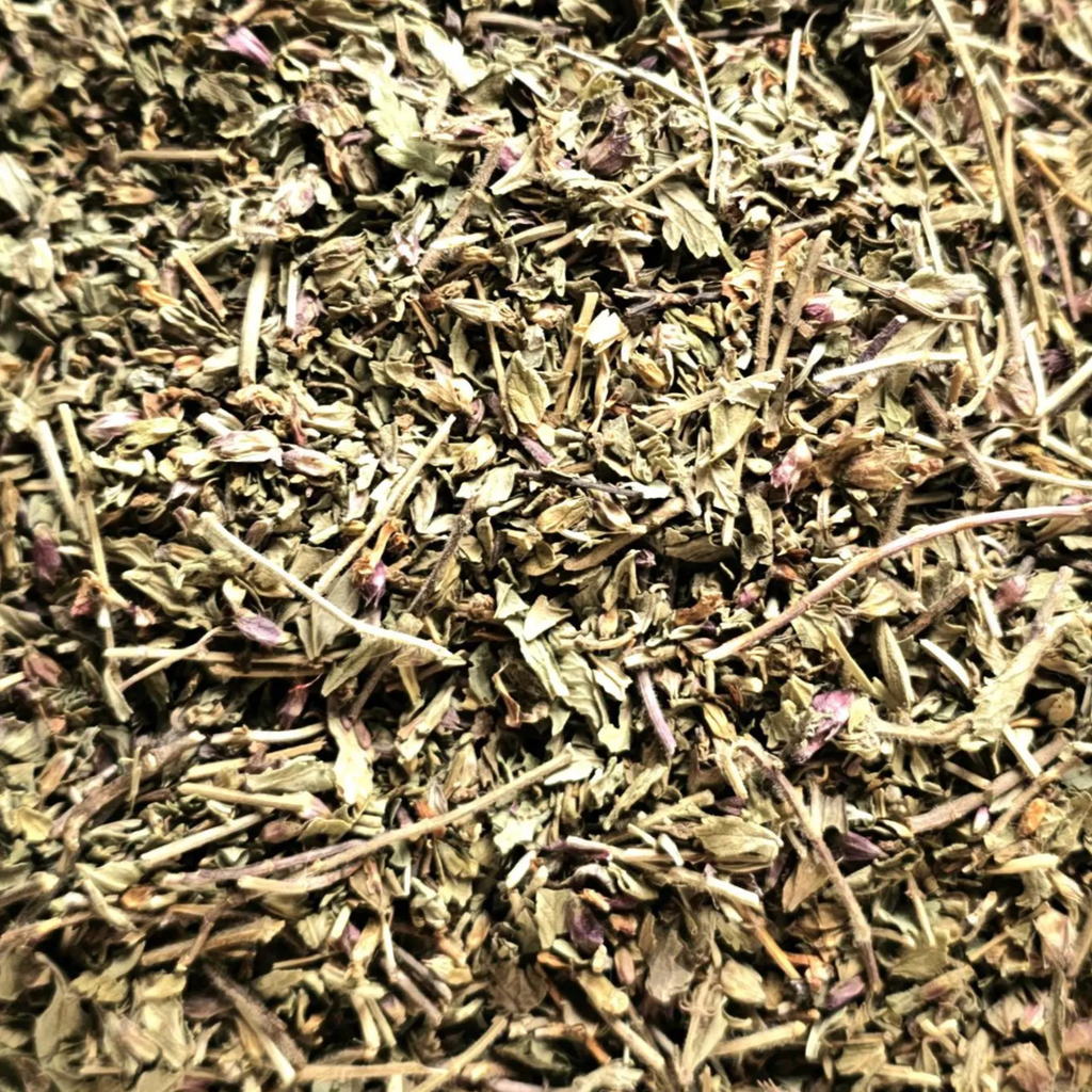 Fournisseur Germandrée prix bas | Esotericae.com, grossiste ésotérique