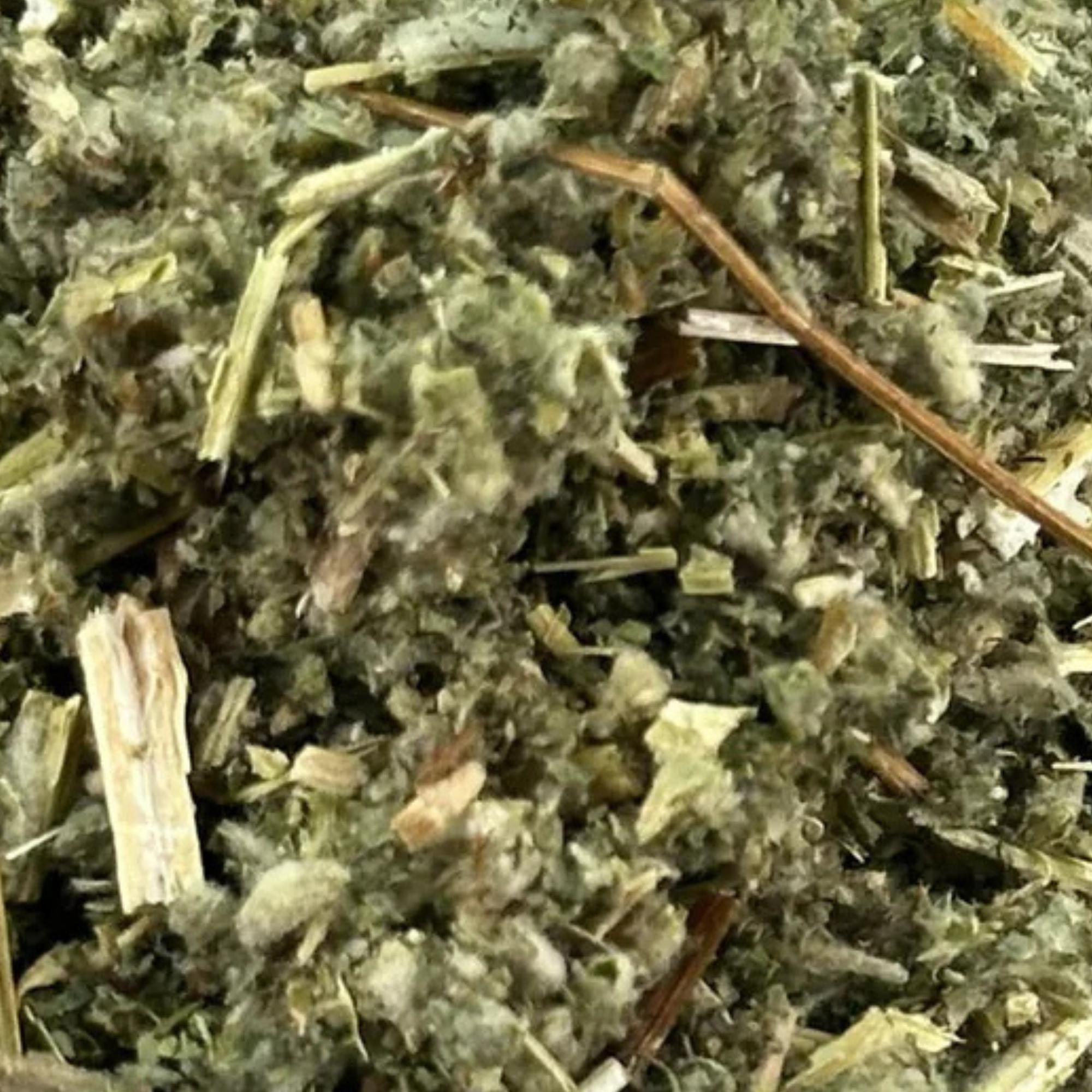 Fournisseur Marrube Blanc prix bas | Esotericae.com, grossiste ésotérique
