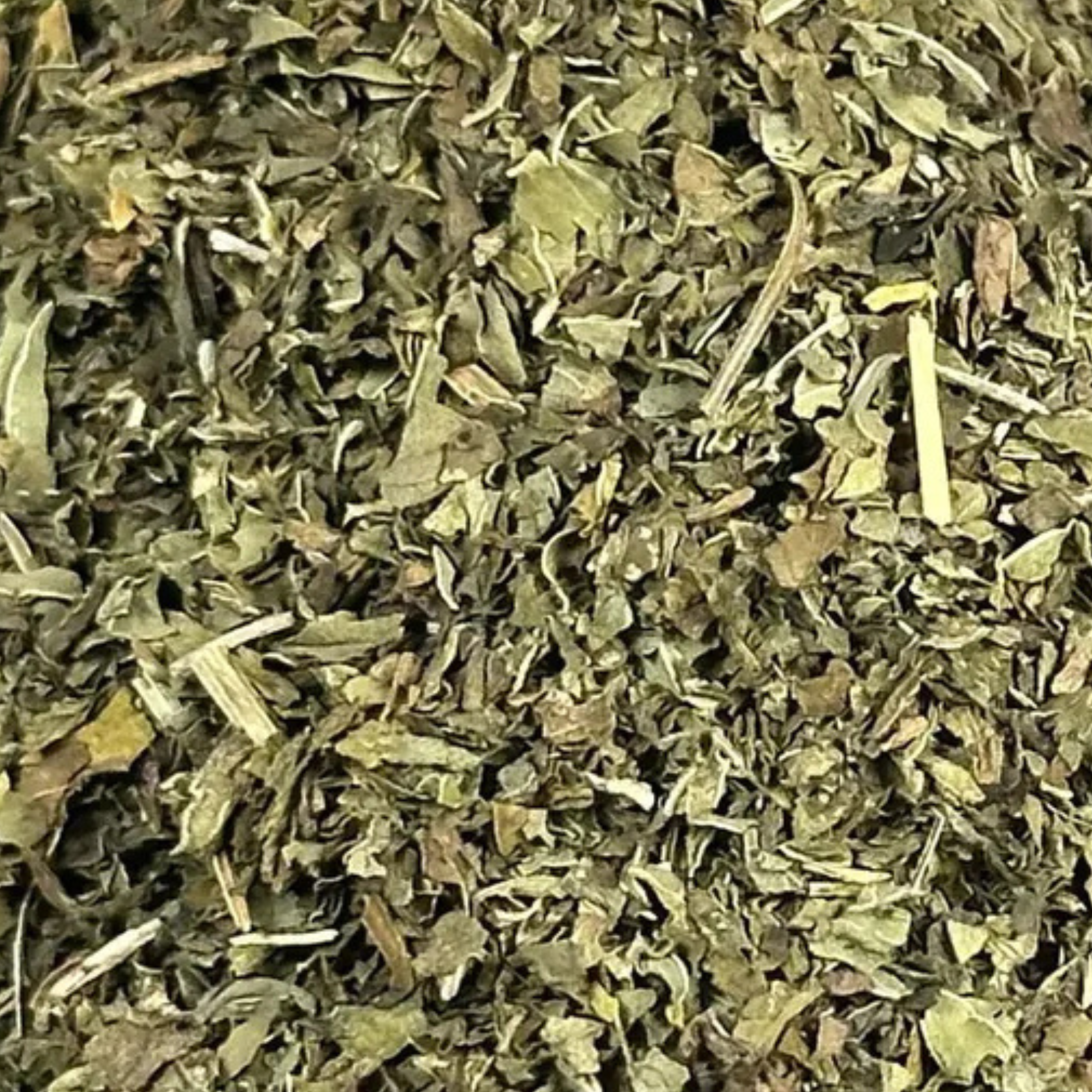 Fournisseur Menthe Poivrée prix bas | Esotericae.com, grossiste ésotérique