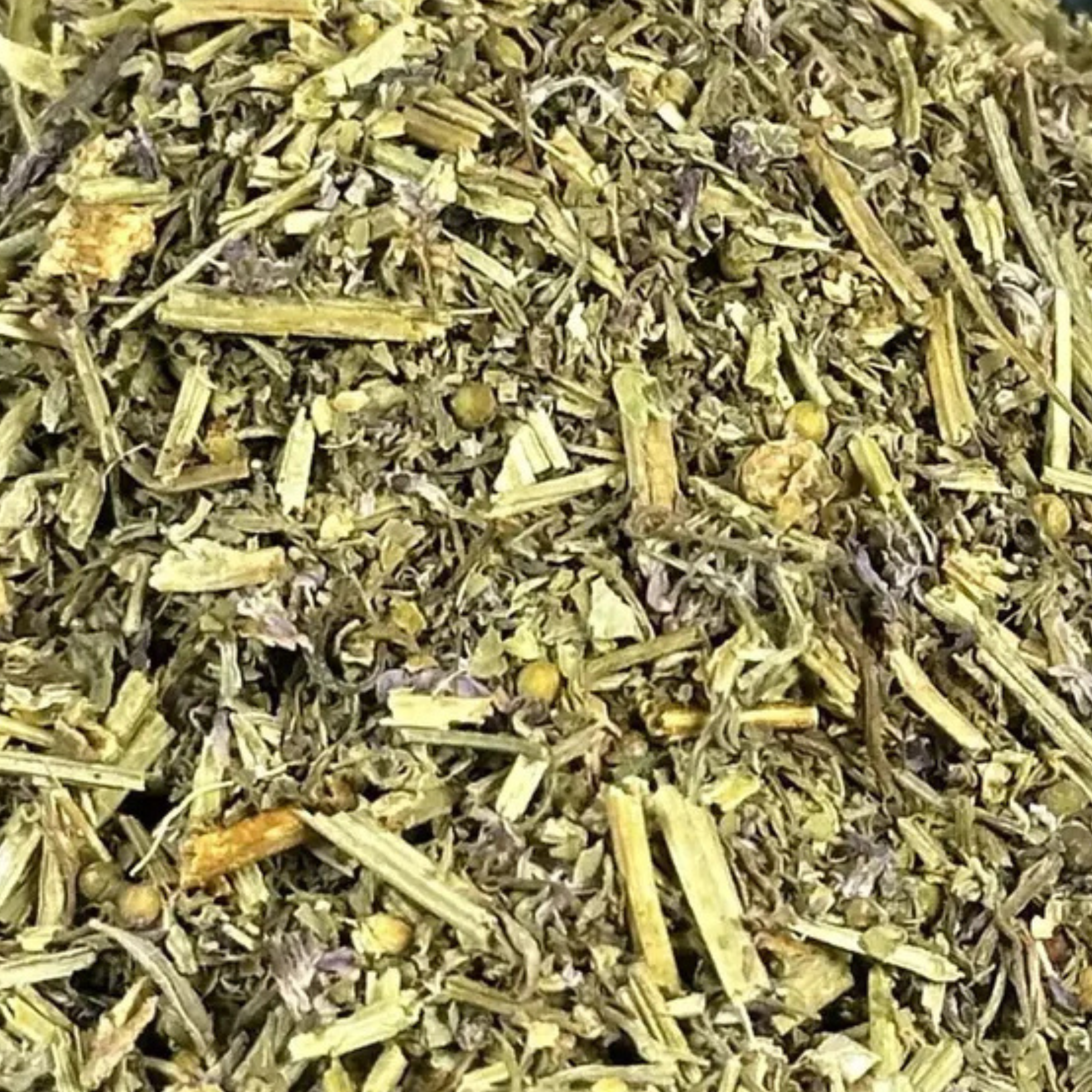 Fournisseur Pied-de-Céline / Fumeterre prix bas | Esotericae.com, grossiste ésotérique