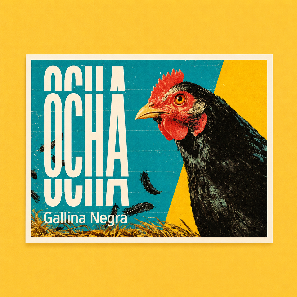 Fournisseur Poudre Gallina Negra | Esotericae.com, grossiste ésotérique