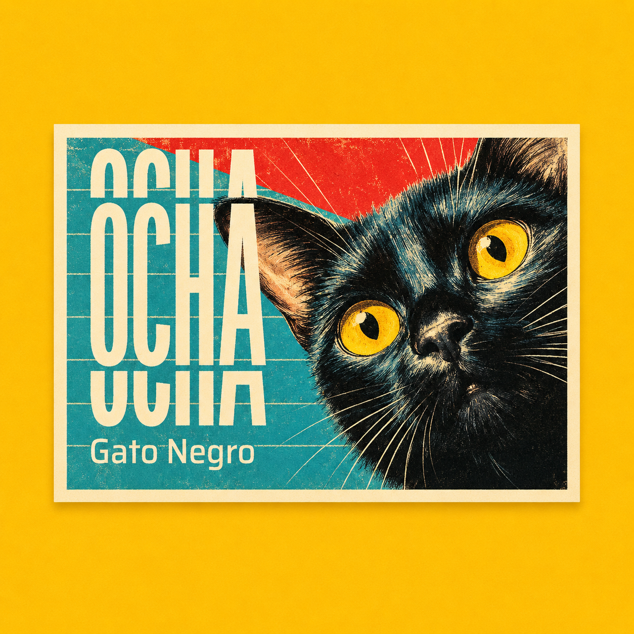 Fournisseur Poudre Gato Negro | Esotericae.com, grossiste ésotérique