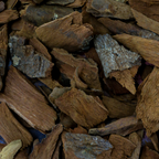 Fournisseur Quinquina prix bas | Esotericae.com, grossiste ésotérique