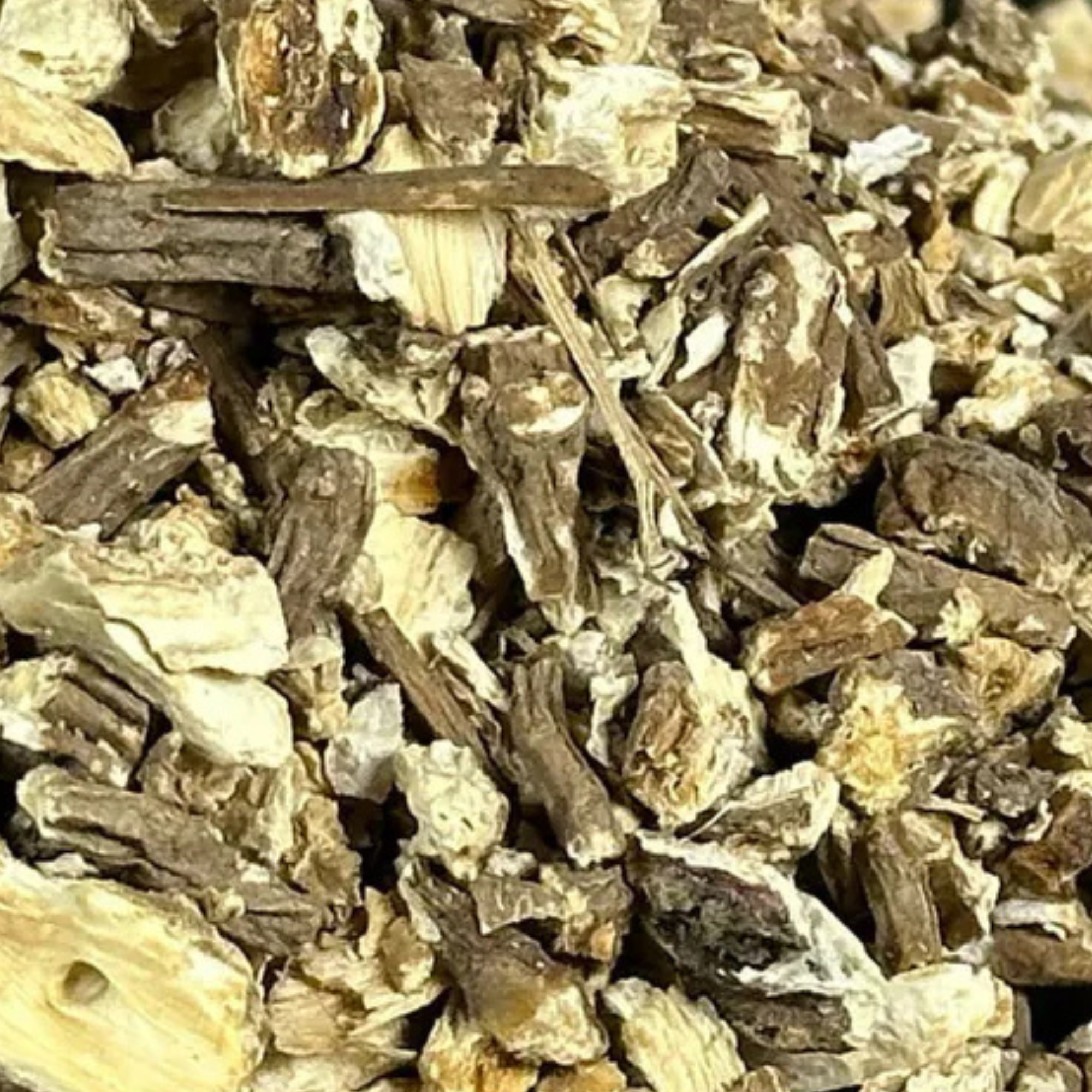 Fournisseur Racine Angélique prix bas | Esotericae.com, grossiste ésotérique