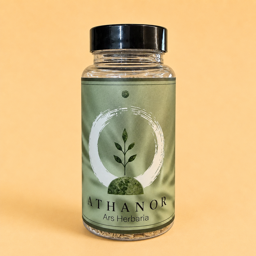 Fournisseur Santal Blanc prix bas | Esotericae.com, grossiste ésotérique