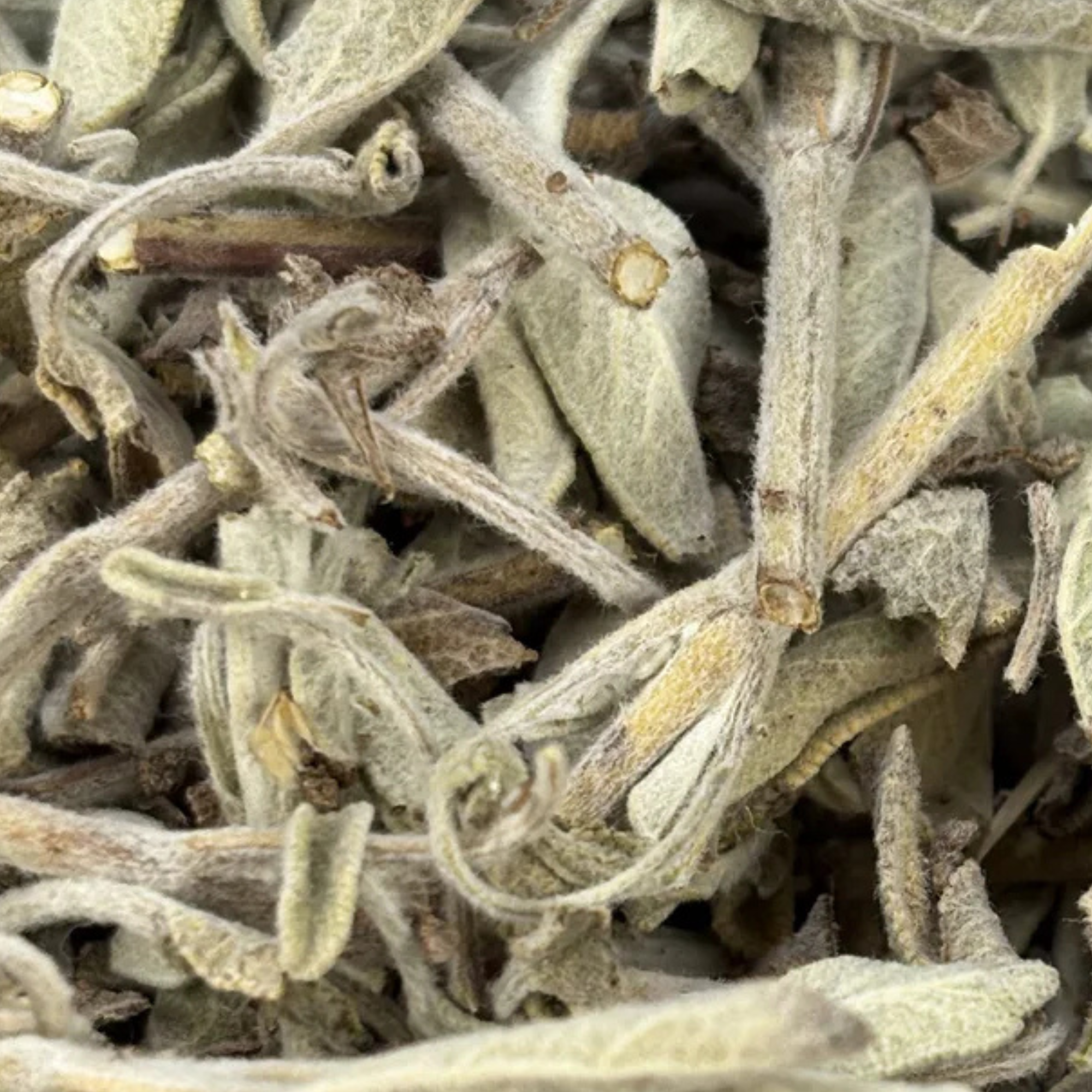 Fournisseur Sauge prix bas | Esotericae.com, grossiste ésotérique