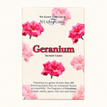 Fournisseur grossiste Encens cônes Géranium (x15) Stamford