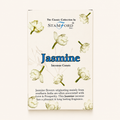 Fournisseur grossiste Encens cônes Jasmin (x15) Stamford