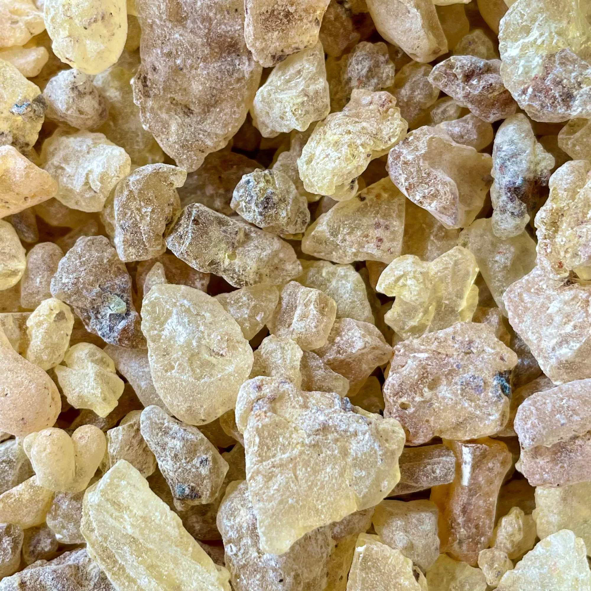 Fournisseur résine Copal | Esotericae.com, grossiste ésotérique