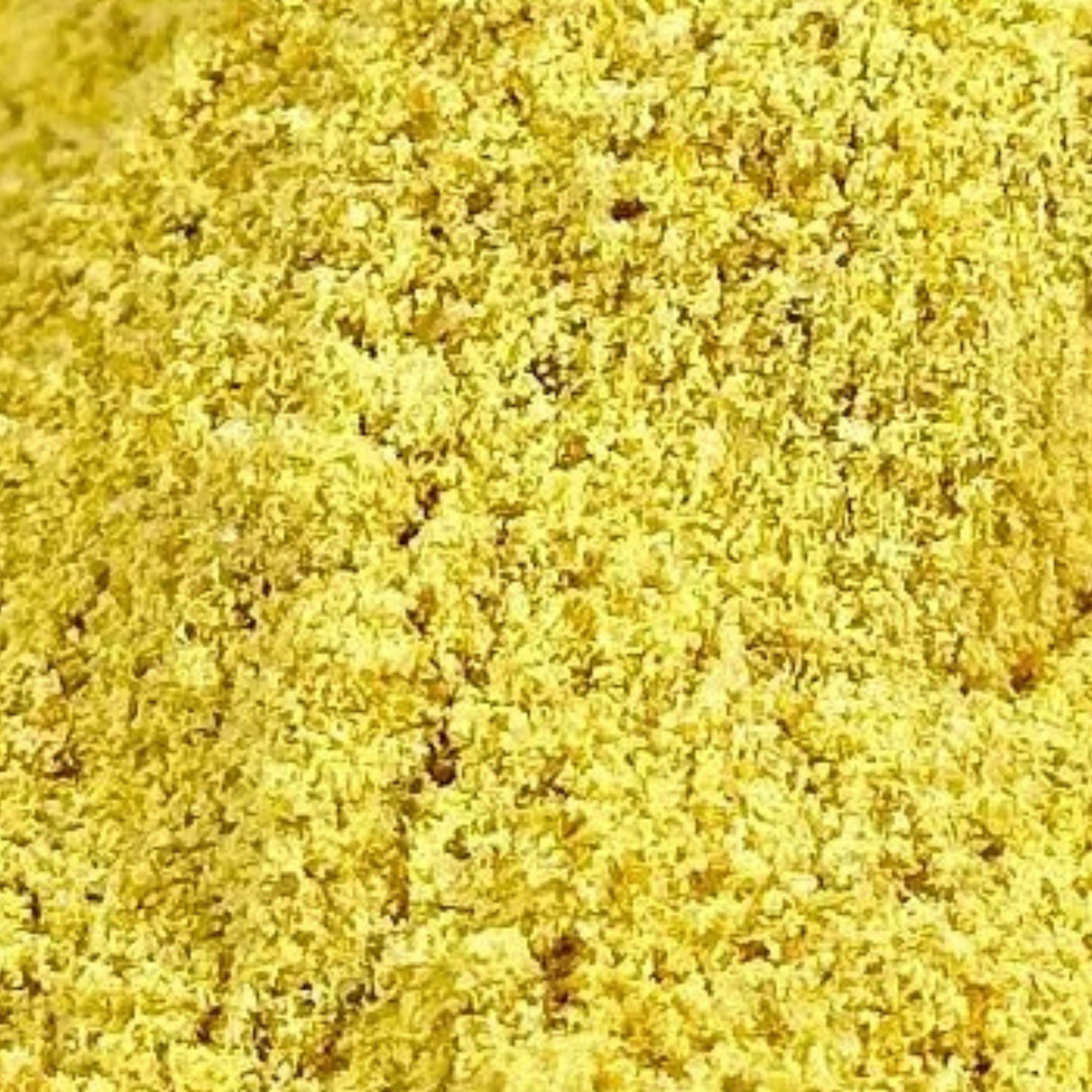 Fournisseur résine Merde du Diable | Esotericae.com, grossiste ésotérique