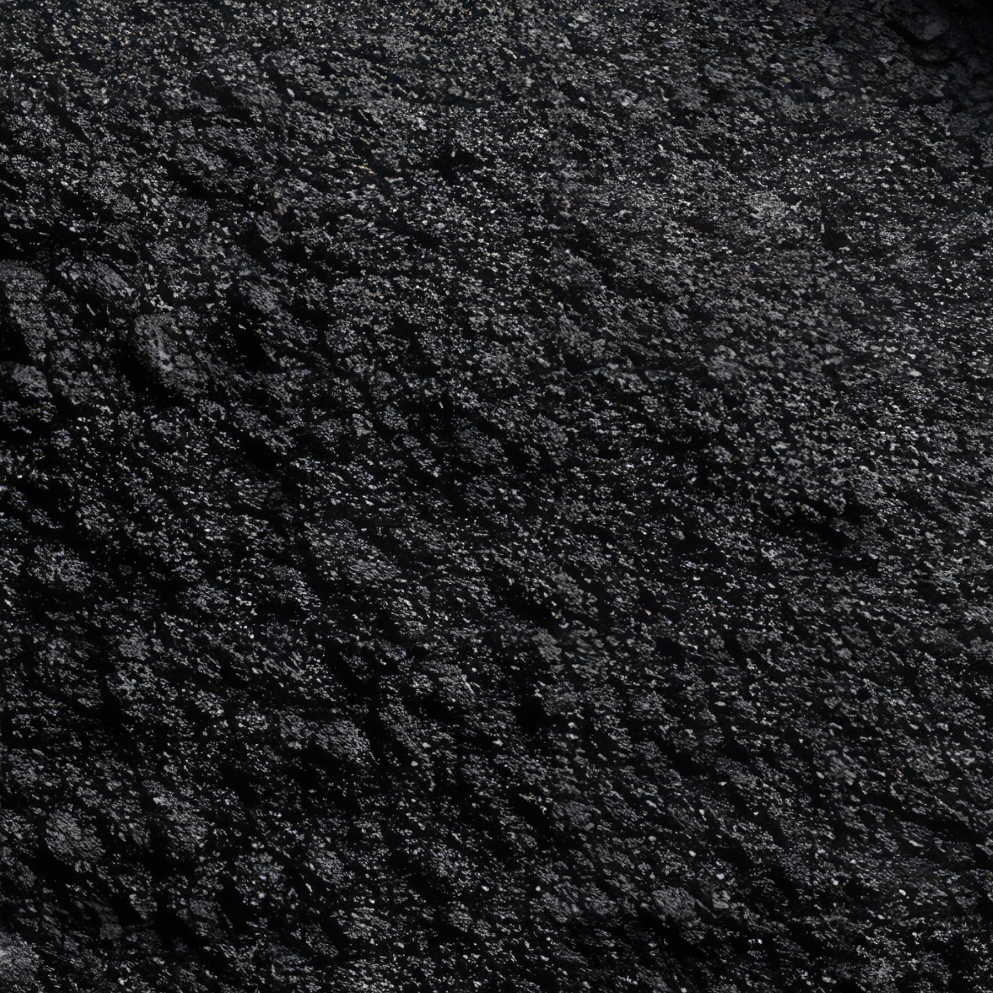 Gros sel noir