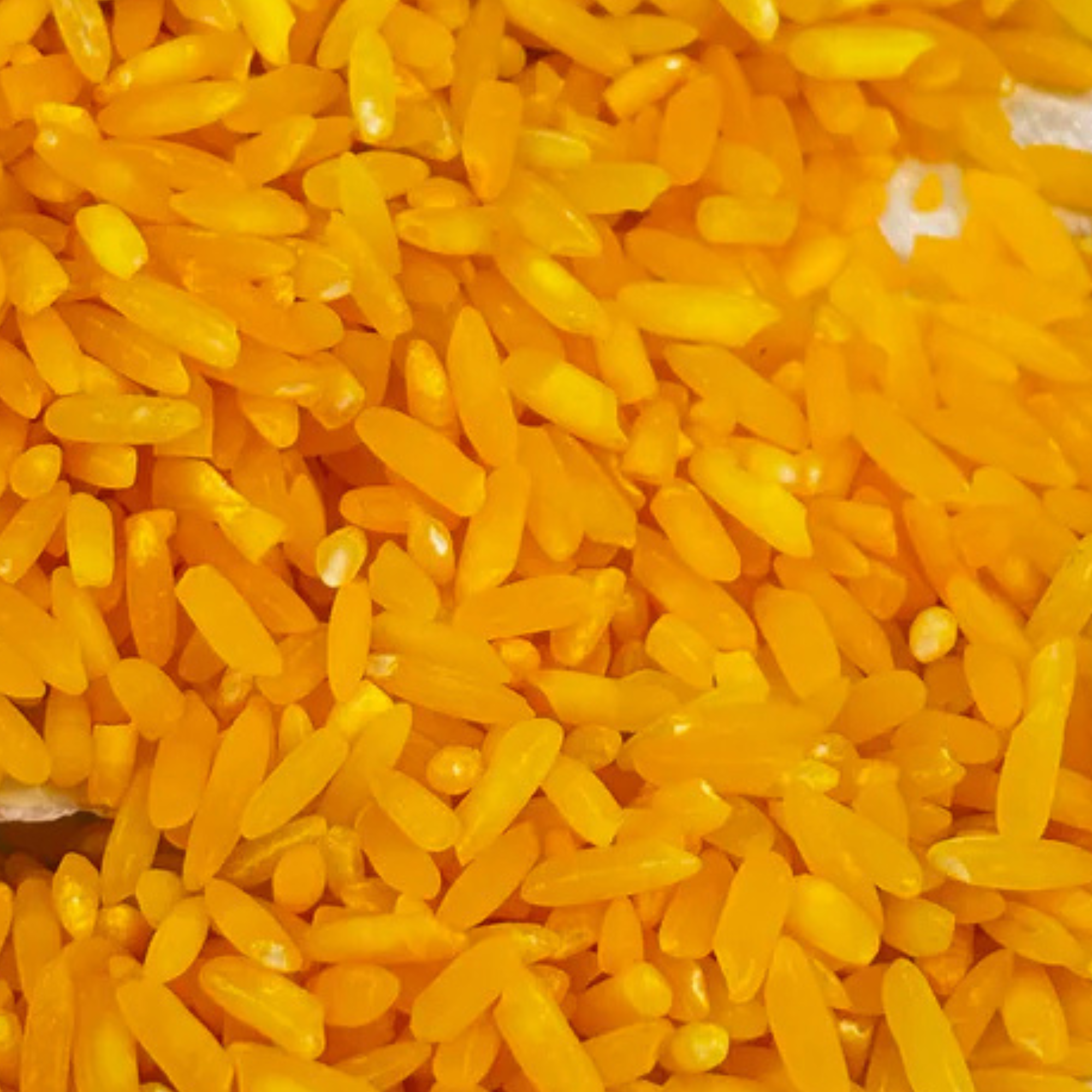 Riz jaune