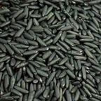 Riz noir